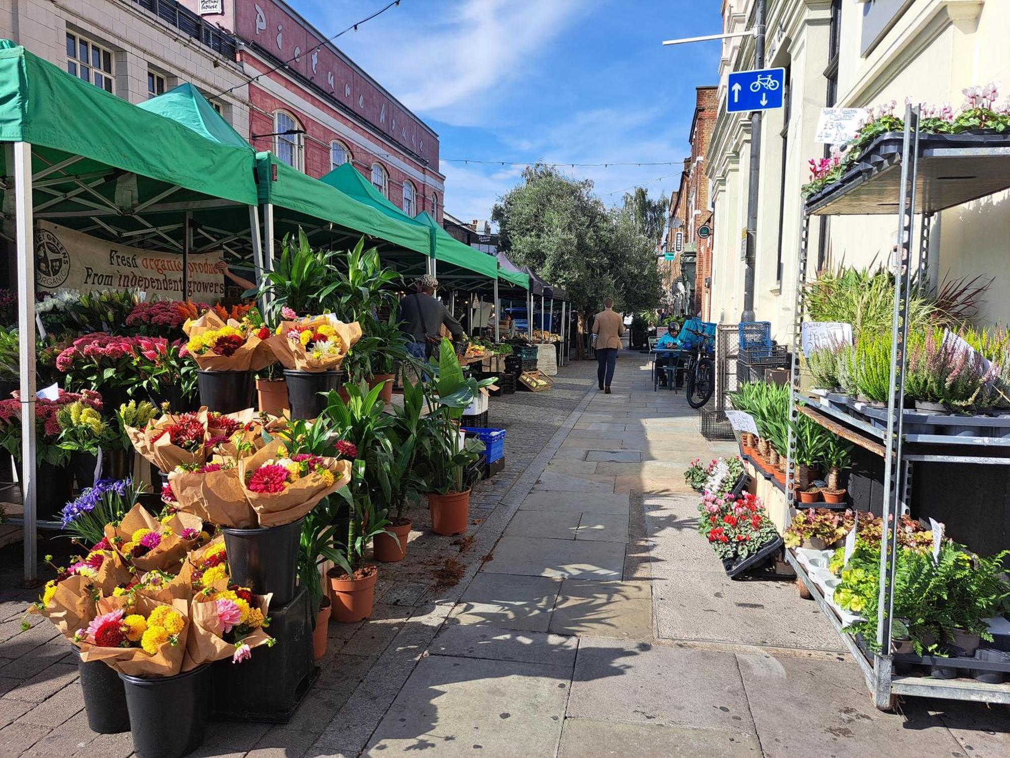 Clapham Serenity Garden Retreat With Free Parking Londra Dış mekan fotoğraf